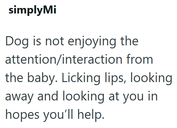 simplyMi Dog is not enjoying the attention/interaction from the baby. Licking lips, looking away and looking at you in hopes you'll help.