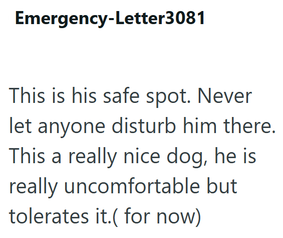 Emergency-Letter3081 This is his safe spot. Never let anyone disturb him there. This a really nice dog, he is really uncomfortable but tolerates it.(for now)