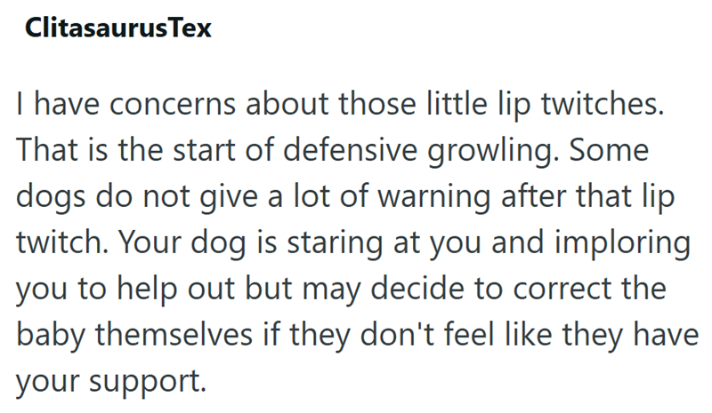 Clitasaurus Tex I have concerns about those little lip twitches. That is the start of defensive growling. Some dogs do not give a lot of warning after that lip twitch. Your dog is staring at you and imploring you to help out but may decide to correct the baby themselves if they don't feel like they have your support.
