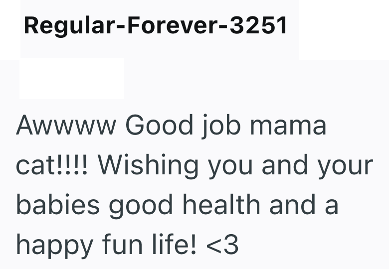 Regular-Forever-3251 Awwww Good job mama cat!!!! Wishing you and your babies good health and a happy fun life! <3