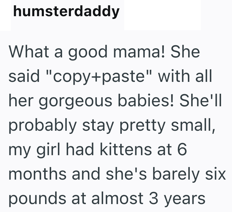 humsterdaddy What a good mama! She said "copy+paste" with all her gorgeous babies! She'll probably stay pretty small, my girl had kittens at 6 months and she's barely six pounds at almost 3 years