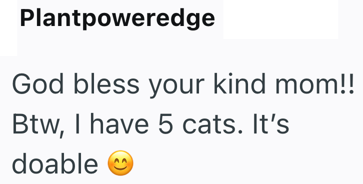 Plantpoweredge God bless your kind mom!! Btw, I have 5 cats. It's doable