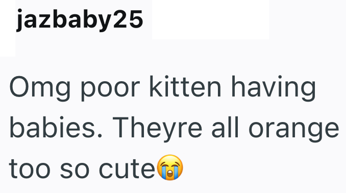 jazbaby25 Omg poor kitten having babies. Theyre all orange too so cute