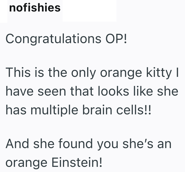 nofishies Congratulations OP! This is the only orange kitty I have seen that looks like she has multiple brain cells!! And she found you she's an orange Einstein!