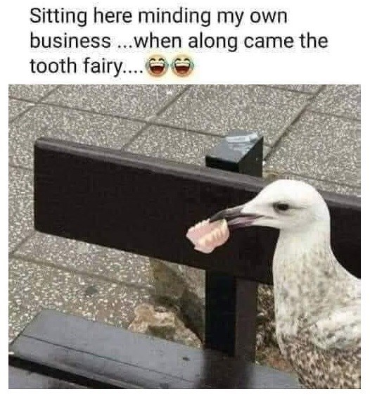 Sitting here minding my own business...when along came the tooth fairy....