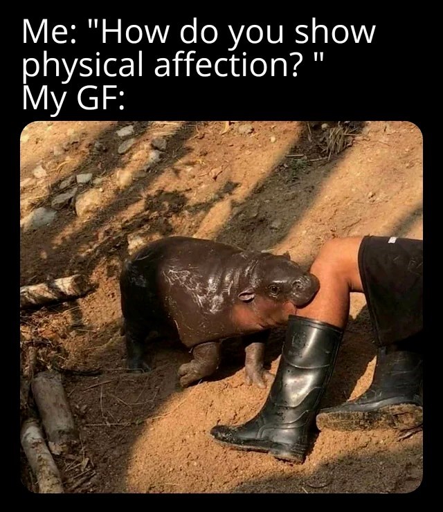 Me: "How do you show physical affection? My GF: