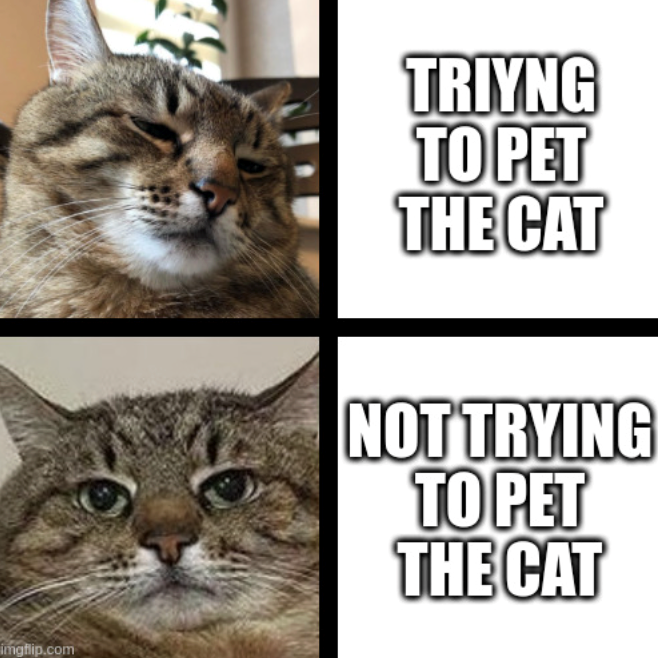 imgflip.com TRIYNG TO PET THE CAT NOT TRYING TO PET THE CAT