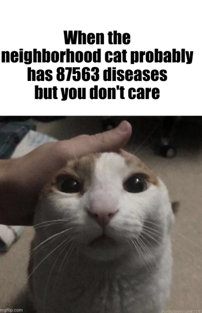 When the neighborhood cat probably has 87563 diseases but you don't care mgflip.com Furbybrennan#7297