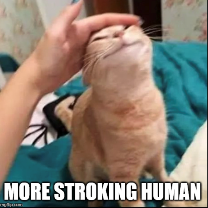 MORE STROKING HUMAN mgflip.com
