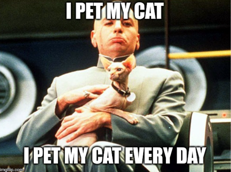 I PET MY CAT imgflip.com I PET MY CAT EVERY DAY