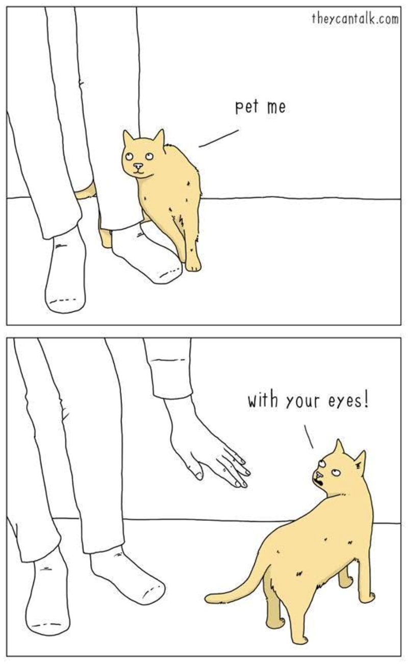 pet me theycantalk.com with your eyes!