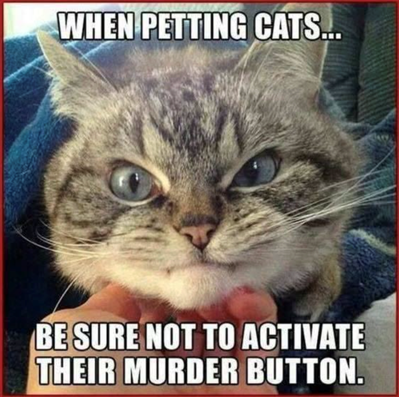 WHEN PETTING CATS... BE SURE NOT TO ACTIVATE THEIR MURDER BUTTON.