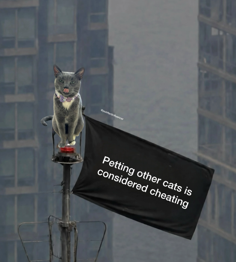 @purrfectinfluencer Petting other cats is considered cheating
