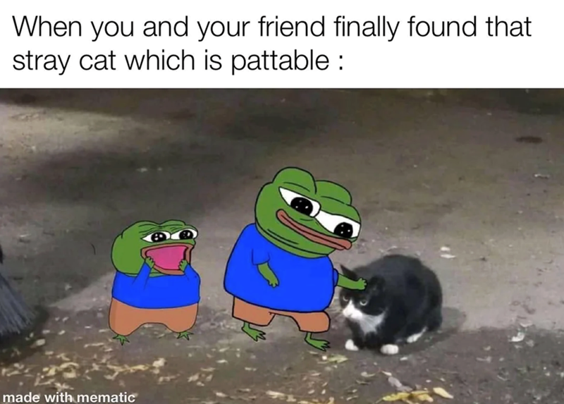 When you and your friend finally found that stray cat which is pattable: made with mematic