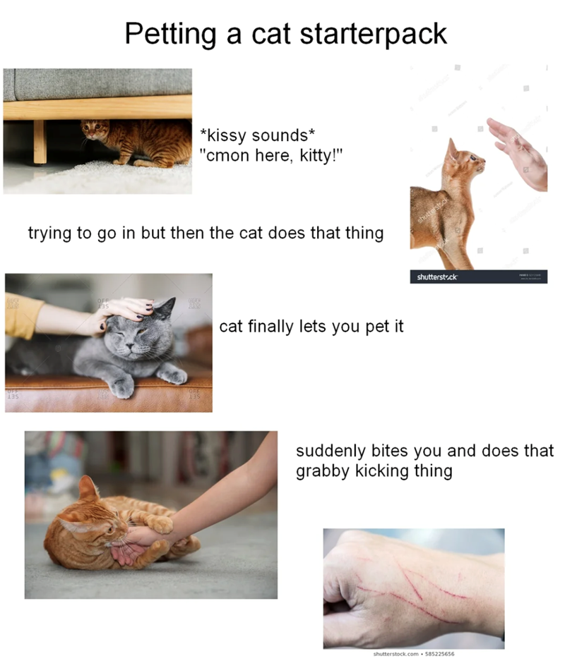 Petting a cat starterpack *kissy sounds* "cmon here, kitty!" trying to go in but then the cat does that thing JUBIS cat finally lets you pet it shutterstock shutterstock • suddenly bites you and does that grabby kicking thing shutterstock.com 585225656