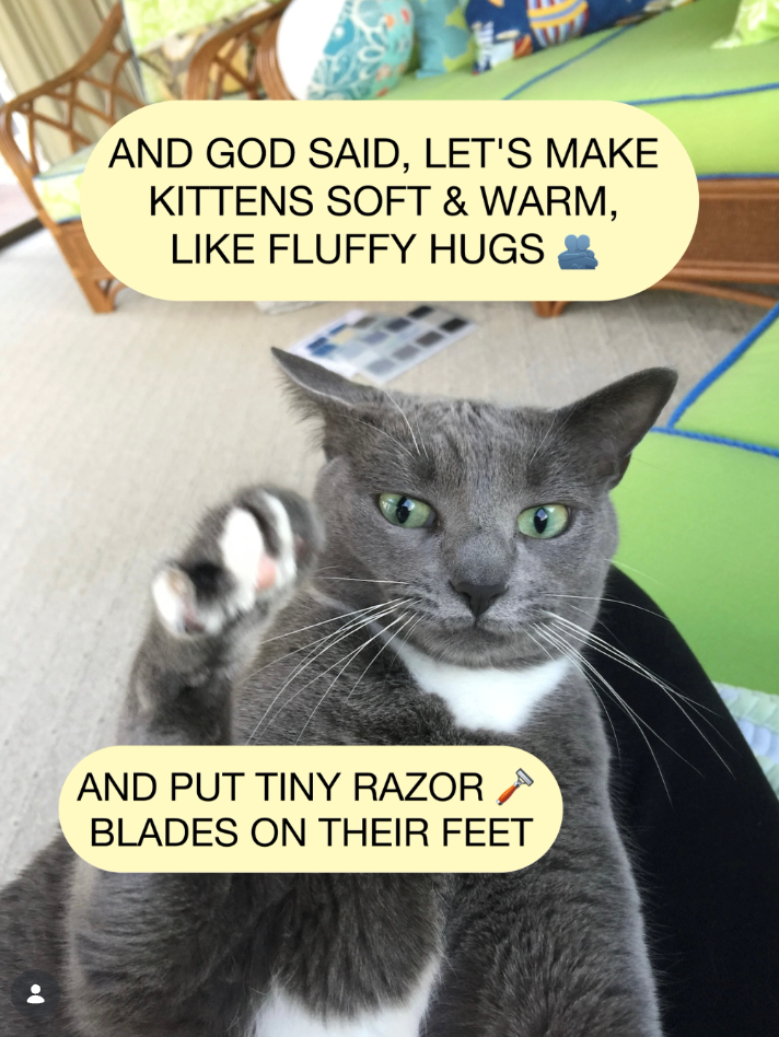 AND GOD SAID, LET'S MAKE KITTENS SOFT & WARM, LIKE FLUFFY HUGS AND PUT TINY RAZOR A BLADES ON THEIR FEET