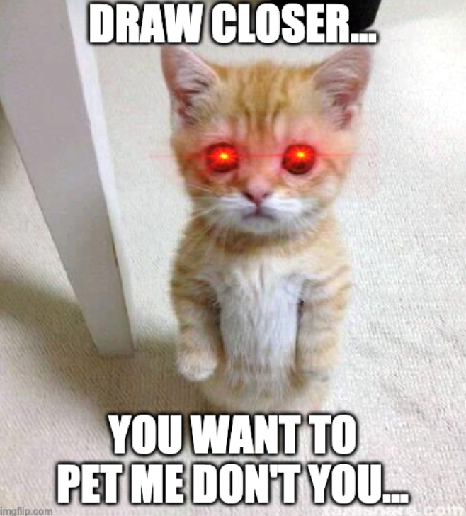 DRAW CLOSER... imgflip.com YOU WANT TO PET ME DON'T YOU..