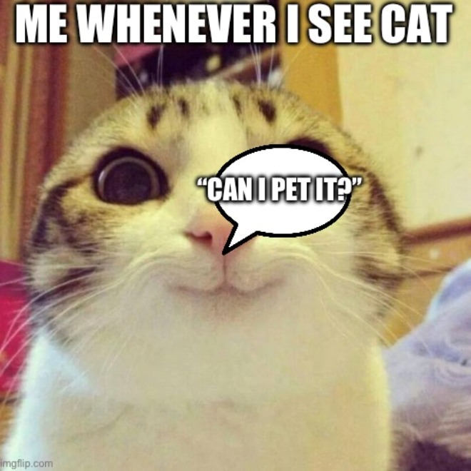 ME WHENEVER I SEE CAT imgflip.com "CAN OPET IT?"