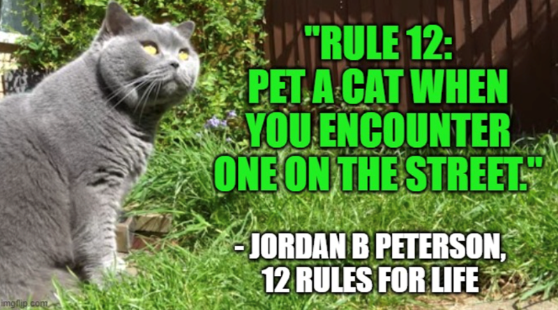 imgflip.com RULE 12: PET A CAT WHEN YOU ENCOUNTER ONE ON THE STREET. -JORDAN B PETERSON, 12 RULES FOR LIFE