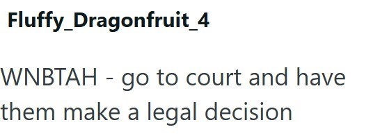 Fluffy_Dragonfruit_4 WNBTAH - go to court and have them make a legal decision