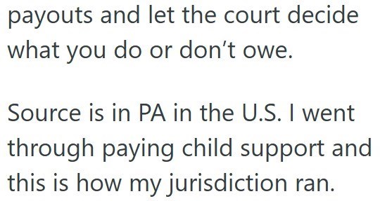 payouts and let the court decide what you do or don't owe. Source is in PA in the U.S. I went through paying child support and this is how my jurisdiction ran.