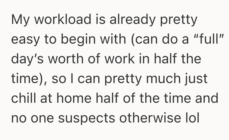 My workload is already pretty easy to begin with (can do a "full" day's worth of work in half the time), so I can pretty much just chill at home half of the time and no one suspects otherwise lol