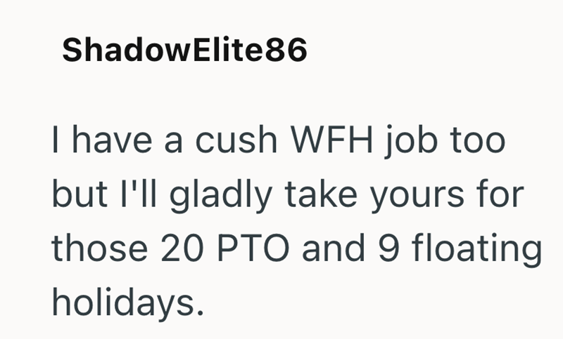 ShadowElite 86 I have a cush WFH job too but I'll gladly take yours for those 20 PTO and 9 floating holidays.