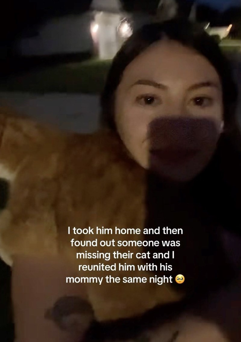 I took him home and then found out someone was missing their cat and I reunited him with his mommy the same night