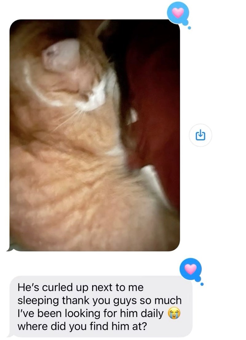 He's curled up next to me sleeping thank you guys so much I've been looking for him daily where did you find him at?