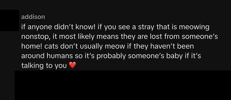 addison if anyone didn't know! if you see a stray that is meowing nonstop, it most likely means they are lost from someone's home! cats don't usually meow if they haven't been around humans so it's probably someone's baby if it's talking to you