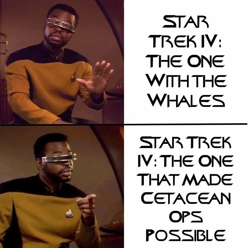 STAR TREK IV: THE ONE WITH THE WHALES STAR TREK IV: THE ONE THAT MADE CETACEAN OPS POSSIBLE