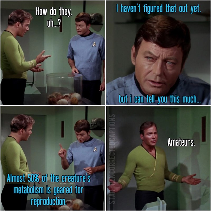 How do they uh...? I haven't figured that out yet. Almost 50% of the creature's metabolism is geared for reproduction STARTREK CORRECTED CAPTIONS but i can tell you this much... Amateurs.