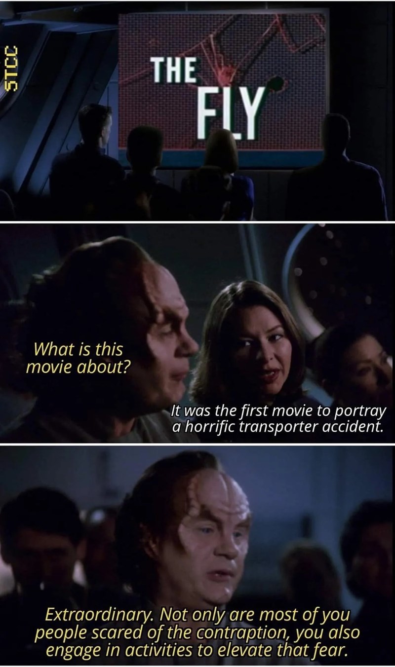 STCC THE FLY What is this movie about? It was the first movie to portray a horrific transporter accident. Extraordinary. Not only are most of you people scared of the contraption, you also engage in activities to elevate that fear.