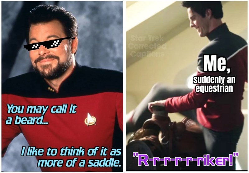 You may call it a beard... Star Trek Corrected Captions Me, Suddenly an equestrian I like to think of it as more of a saddle. Rrrrrriker!"