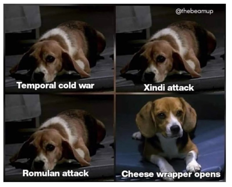@thebeamup Temporal cold war Xindi attack Romulan attack Cheese wrapper opens
