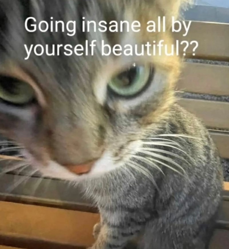 Going insane all by yourself beautiful??