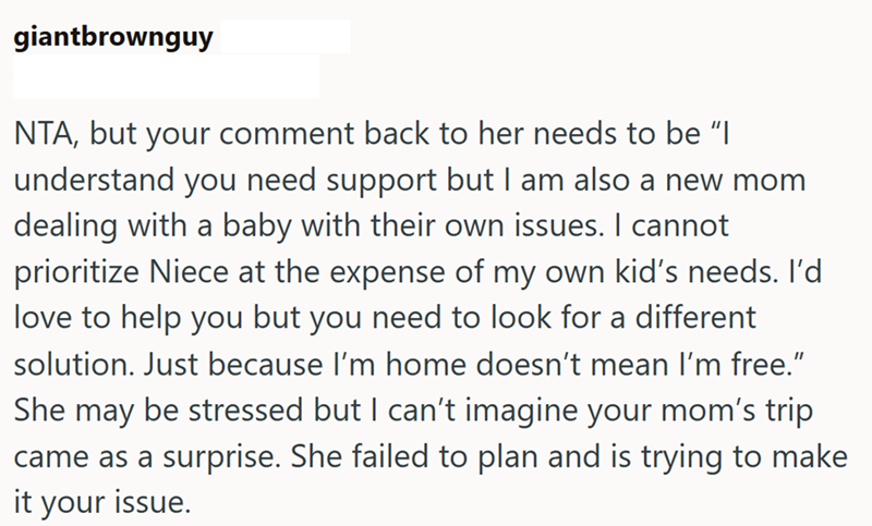 giantbrownguy NTA, but your comment back to her needs to be “I understand you need support but I am also a new mom dealing with a baby with their own issues. I cannot prioritize Niece at the expense of my own kid's needs. I'd love to help you but you need to look for a different solution. Just because I'm home doesn't mean I'm free." She may be stressed but I can't imagine your mom's trip came as a surprise. She failed to plan and is trying to make it your issue.