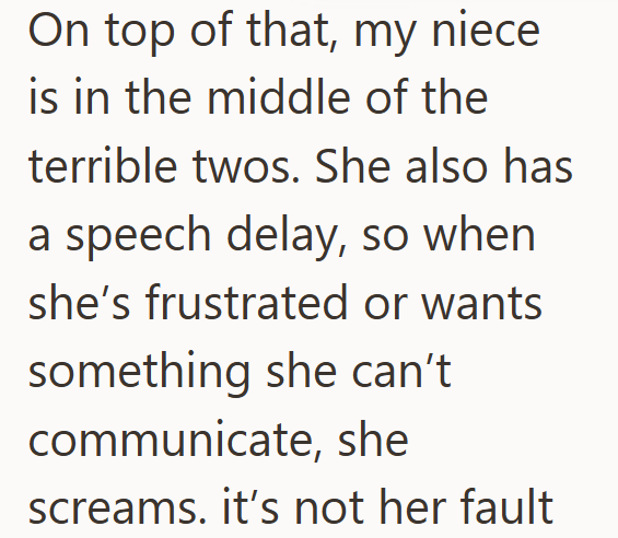 On top of that, my niece is in the middle of the terrible twos. She also has a speech delay, so when she's frustrated or wants something she can't communicate, she screams. it's not her fault