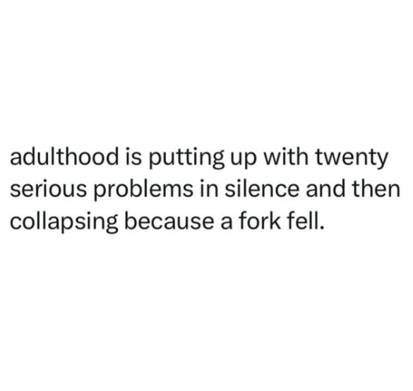 adulthood is putting up with twenty serious problems in silence and then collapsing because a fork fell.