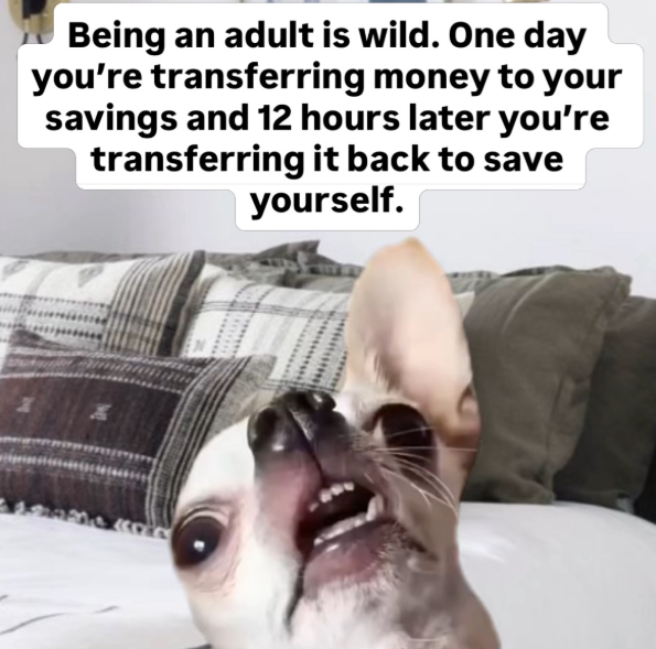 Being an adult is wild. One day you're transferring money to your savings and 12 hours later you're transferring it back to save yourself.