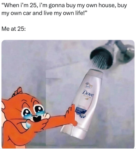 "When i'm 25, i'm gonna buy my own house, buy my own car and live my own life!" Me at 25: Dove