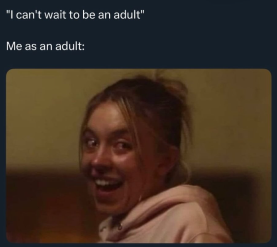 "I can't wait to be an adult" Me as an adult: