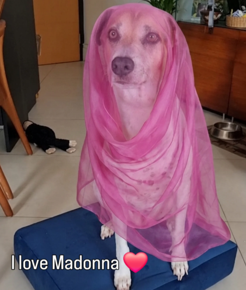 I love Madonna
