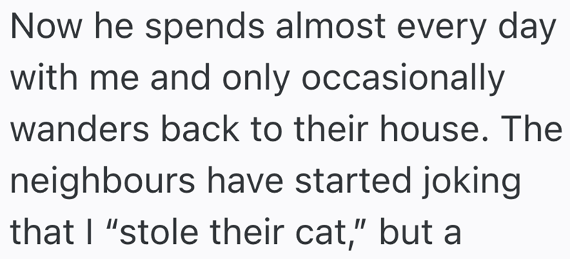 Now he spends almost every day with me and only occasionally wanders back to their house. The neighbours have started joking that I "stole their cat," but a
