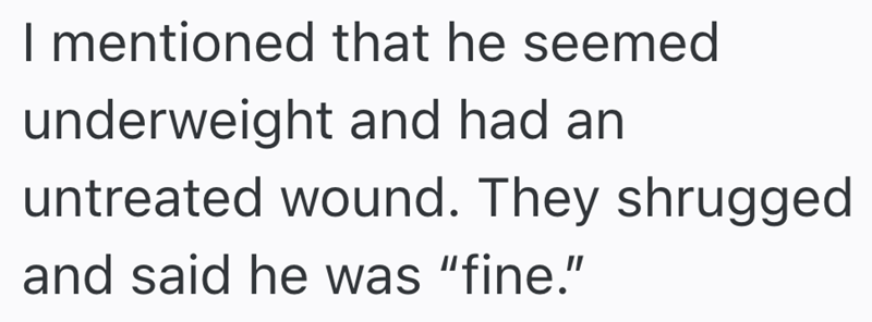 I mentioned that he seemed underweight and had an untreated wound. They shrugged and said he was "fine."