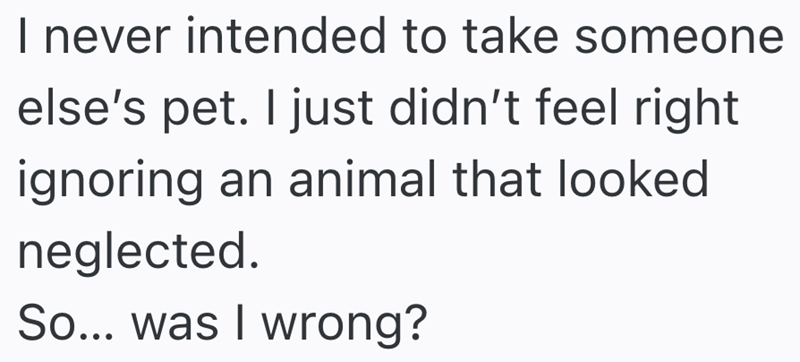I never intended to take someone else's pet. I just didn't feel right ignoring an animal that looked neglected. So... was I wrong?