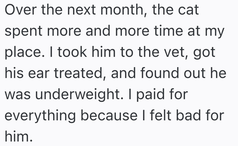 Over the next month, the cat spent more and more time at my place. I took him to the vet, got his ear treated, and found out he was underweight. I paid for everything because I felt bad for him.