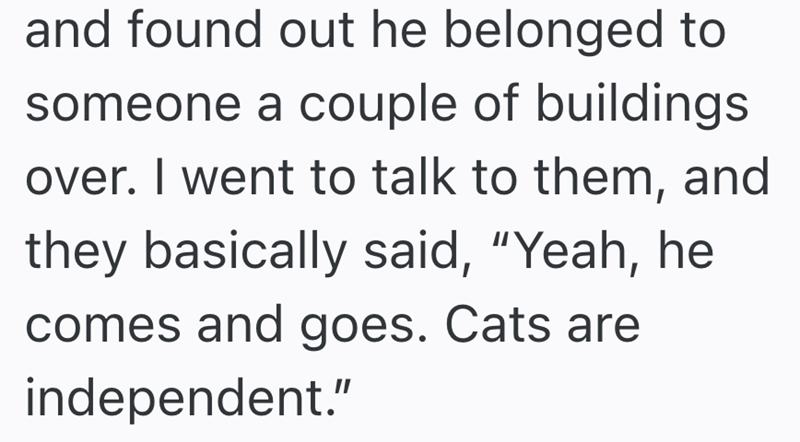 and found out he belonged to someone a couple of buildings over. I went to talk to them, and they basically said, "Yeah, he comes and goes. Cats are independent."