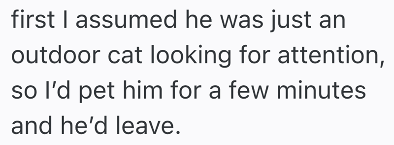 first I assumed he was just an outdoor cat looking for attention, so I'd pet him for a few minutes and he'd leave.