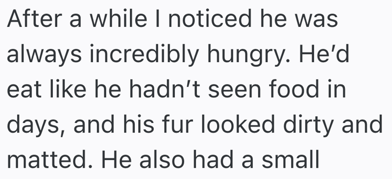 After a while I noticed he was always incredibly hungry. He'd eat like he hadn't seen food in days, and his fur looked dirty and matted. He also had a small